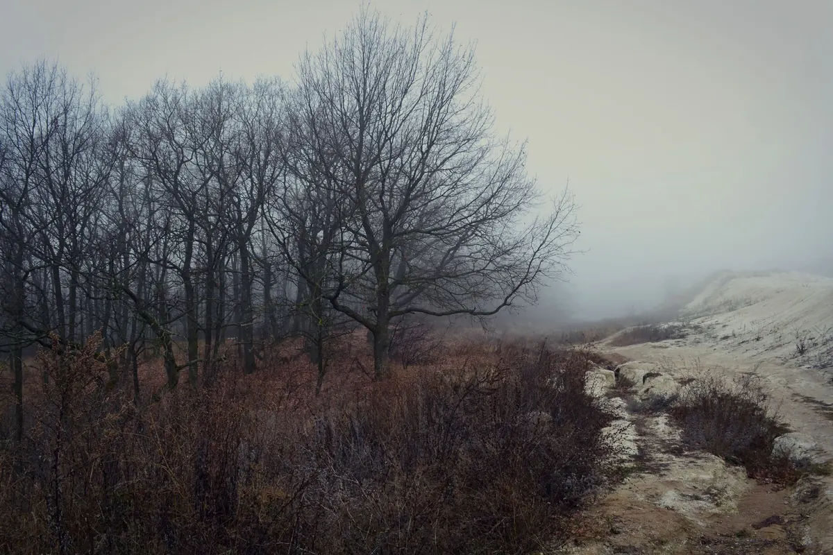 Ghost Stories of the South Downs: A Walker's Guide to Local Legends